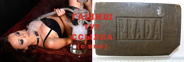 spice Богданович