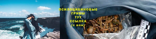 COCAINE Богородск