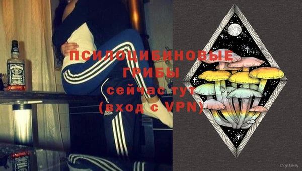 spice Богданович