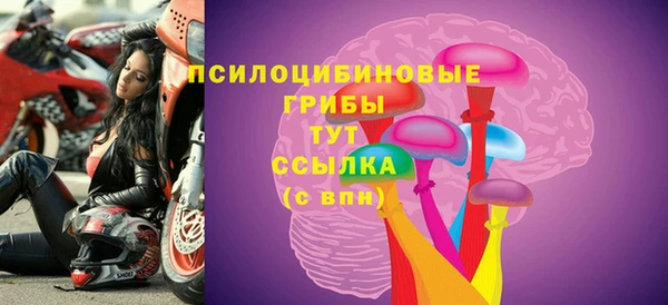 COCAINE Богородск