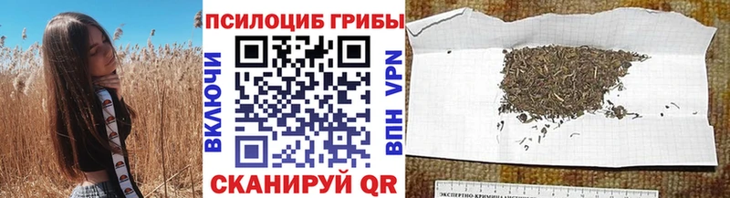 Псилоцибиновые грибы мухоморы купить сайты Клин